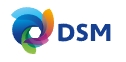 DSM Group